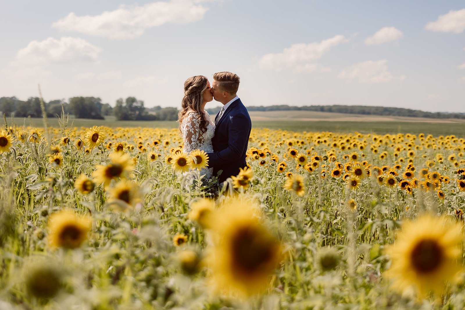 A couple kiss among the tall sunflowers under a blue sky